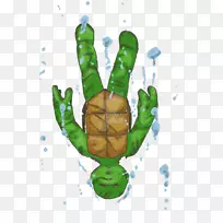 龟拇指海龟