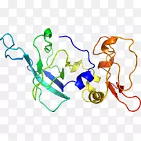 线点生物剪贴画线