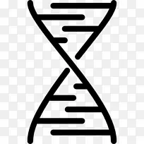双螺旋：对dna结构、医学生物学、核酸分子结构的个人描述：脱氧核糖核酸的结构