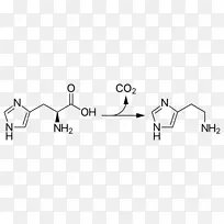 组氨酸脱羧酶脱羧酪氨酸催化
