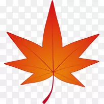 秋叶色枫叶