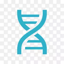 DNA和生物治疗核酸双螺旋-生命科学