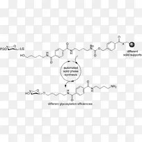 3-甲基谷氨酰基-辅酶-羟基-β-甲基丁酰基-羟基-β-甲基丁酸-亮氨酸-甲基谷氨酰-辅酶水合酶-抽象图显示