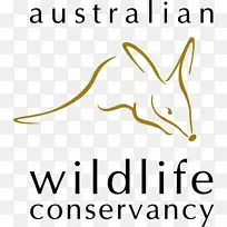 澳大利亚野生动物保护斯科舍保护区考拉-澳大利亚