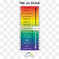 碱土酸海水pH标度