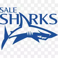 出售鲨鱼英国英超出售fc橄榄球俱乐部纽卡斯尔猎鹰AJ贝尔体育场-出售左