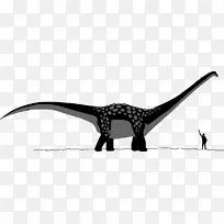 南极龙城晚白垩世恐龙蜥脚类恐龙骨骼驾驶