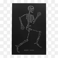 骨骼系统人体骨骼人体解剖-骨骼打印