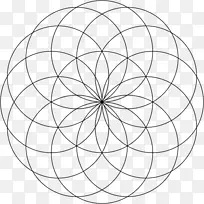 [医]鱼环面几何学圆形圆