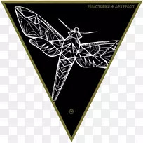 几何学柏拉图式立体闪光灯三角形形状蜂鸟鹰蛾