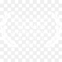 墨尔本风暴新西兰勇士沃林加海鹰昆士兰橄榄球联盟帕拉马塔鳗鱼-电影月桂冠
