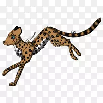 猎豹猫长颈鹿美洲狮-无花果性格