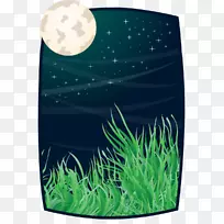 水族馆绿色生物群落-月光下的天空