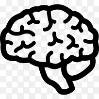 人脑计算机图标脑功能的横向化剪贴术-大脑