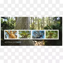 动植物生物群落自然保护区集邮邮票