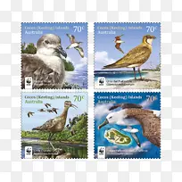 鸭动物区系生态系统野生动物-需要邮票