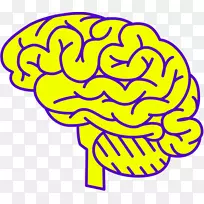 脑视觉知觉、视错觉、神经科学.科学脑