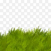 草本植物绿色剪贴画-热爱自然环境
