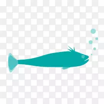 海豚海洋生物动物.针状铅