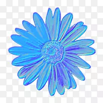 彩色办公室仓库商业剪贴画-蓝色雏菊