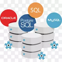 Web开发软件开发数据库软件开发人员oracle sql Developer-Business