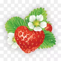 草莓蔬菜水果-草莓