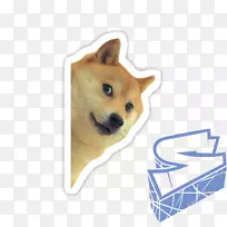 Doge shiba Inu贴纸滚筒鼠标志-狗乐趣