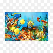 水下珊瑚礁鱼热带鱼