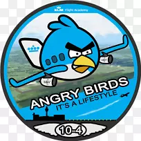 愤怒的小鸟匹配愤怒的小鸟2愤怒的小鸟空间愤怒的小鸟三部曲-愤怒的小鸟去