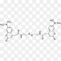 蛋白激酶抑制剂酶三磷酸腺苷