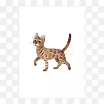 加州的孟加拉猫