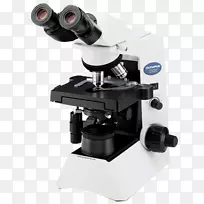 光学显微镜奥林巴斯公司数码显微镜消色差透镜显微镜