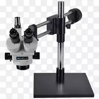 立体显微镜，光学显微镜，原子力显微镜，扫描电子显微镜，显微镜
