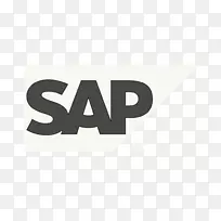 LOGO品牌SAAP业务一SAP业务设计