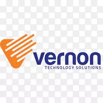 LOGO Vernon技术解决方案品牌-标志技术