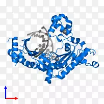 线点生物剪贴画线