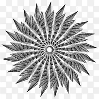 摄影防晒镜