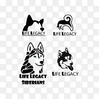 猫西伯利亚哈士奇标志犬种-猫