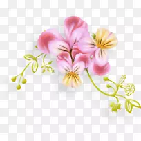 花卉设计切花、飞蛾、兰花、花瓣花