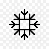 表情符号雪花切斯特e威廉姆斯公司计算机图标-表情符号