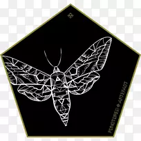 昆虫品牌字体-昆虫
