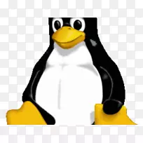 tux linux发行版arch linux专业学院认证程序-linux