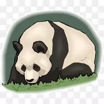 大熊猫窗图片画夹艺术熊