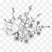 图案摄影花卉设计素描-设计