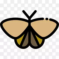 帝王蝶，刷脚蝴蝶，太阳镜，纽伍德公园，动物园-蝴蝶
