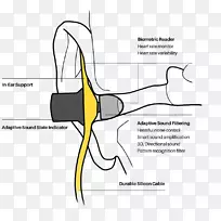 耳罩颗粒物理图-EAR