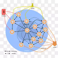 组织结构全息图-循环