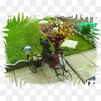 花盆药草车树-花