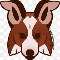 狗繁殖边境牧羊犬粗野牧羊犬博客鼻子-郊狼