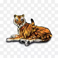 虎须狮猫斯波坎县区域动物保护服务-老虎